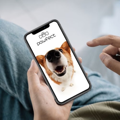 Application mobile UX/UI Pawfect - Gestion soins canins - Projet Google UX Design